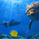Illustration for article titled Could Humans Have Evolved From Dolphins?